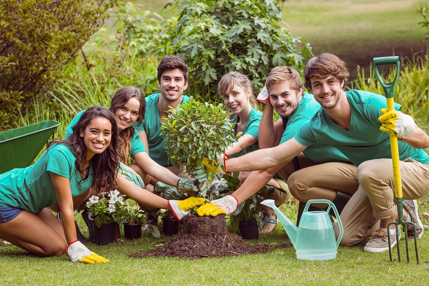 Gardening